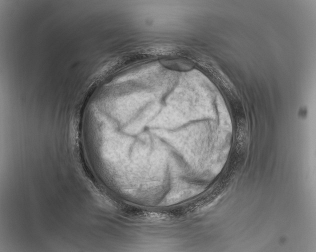 X0000116370585201001131749