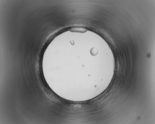 X0000116370588201001131749