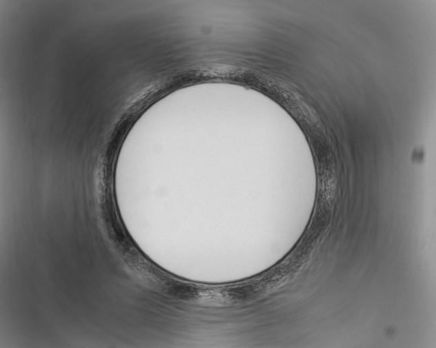 X0000116370591201001131749