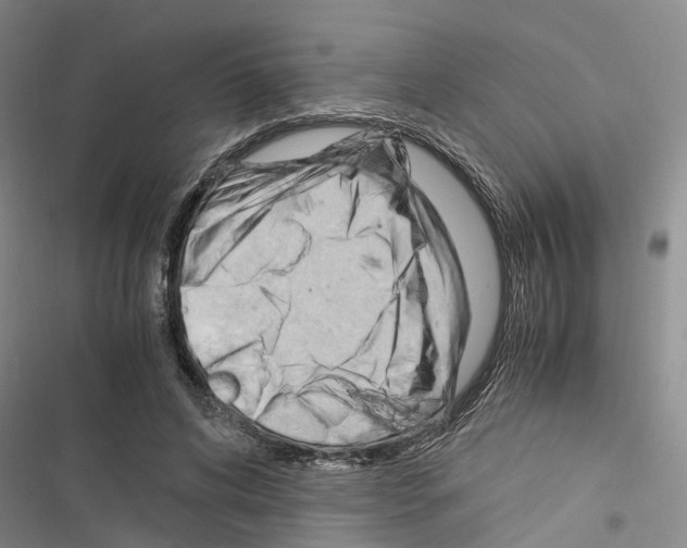 X0000116370592201001131749