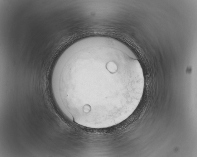 X0000116370593201001131749