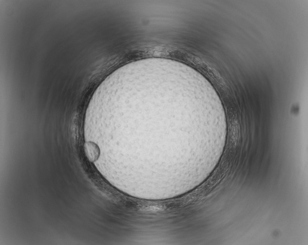 X0000116370594201001131749