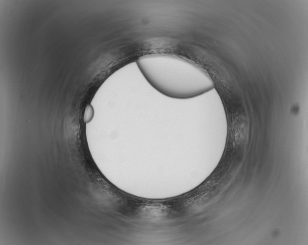 X0000116370595201001131749