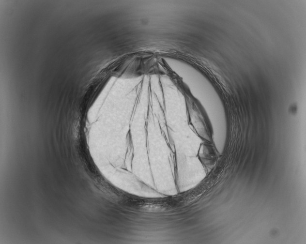 X0000116370596201001131749