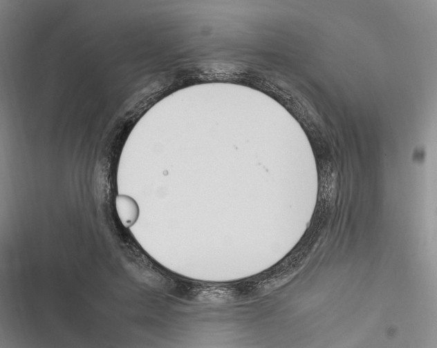 X0000116370599201001131749