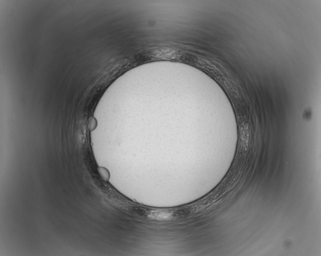 X0000116370602201001131749