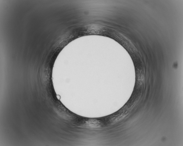 X0000116370603201001131749