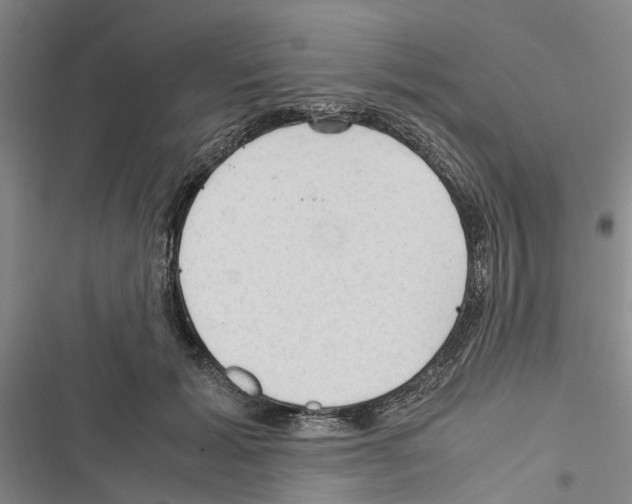 X0000116370605201001131749