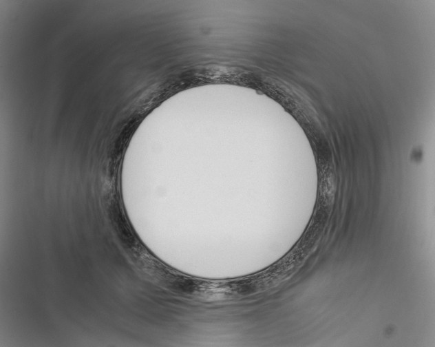 X0000116370607201001131749