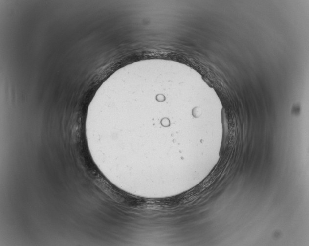 X0000116370608201001131749