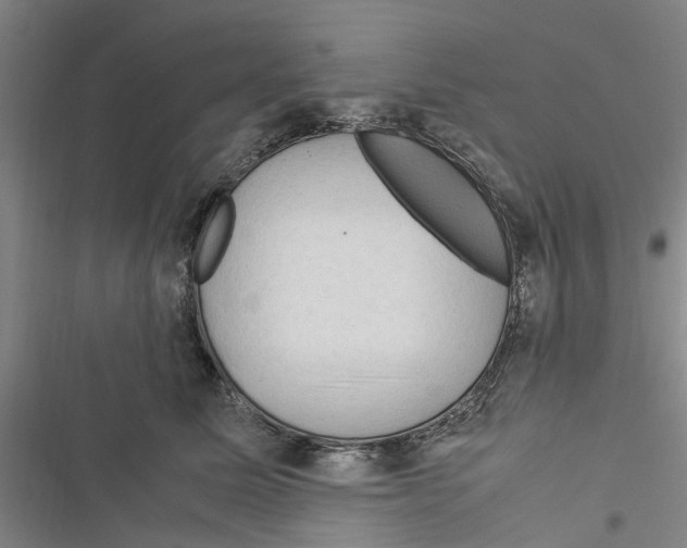 X0000116370611201001131749