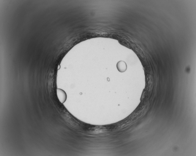 X0000116370612201001131749