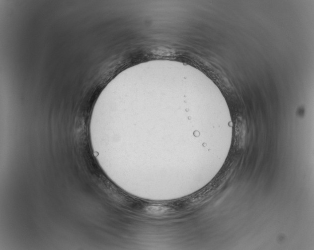 X0000116370614201001131749