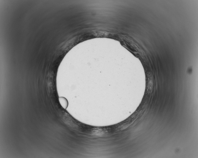 X0000116370616201001131749