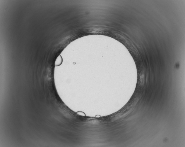 X0000116370620201001131749