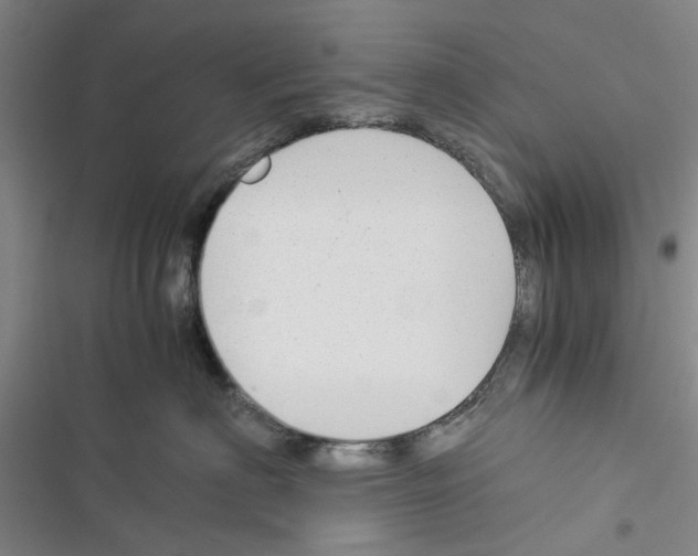 X0000116370622201001131749