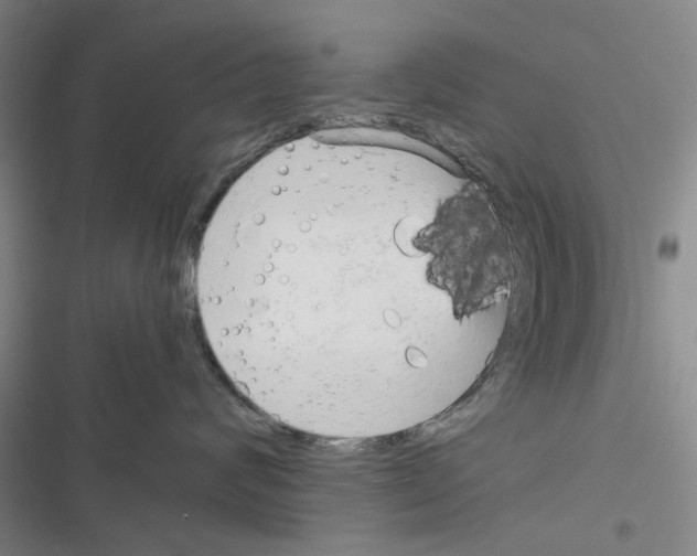 X0000116370624201001131749