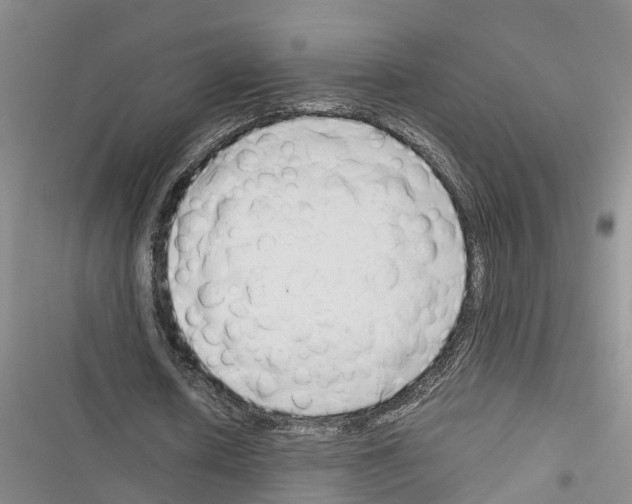 X0000116370626201001131748