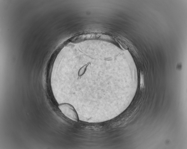 X0000116370627201001131748