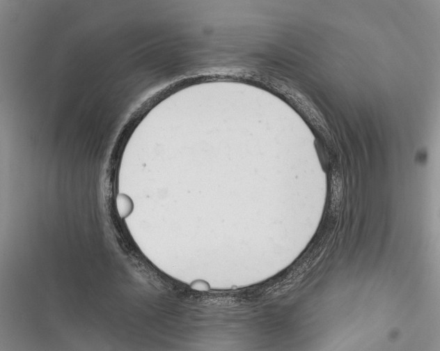 X0000116370628201001131748