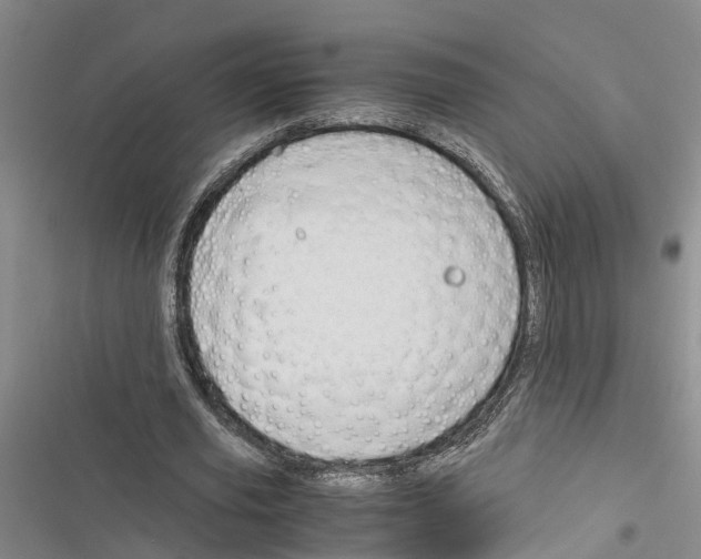 X0000116370629201001131748