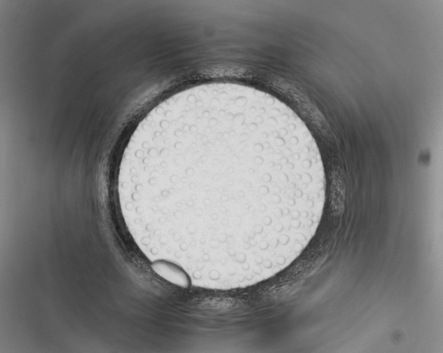 X0000116370631201001131748