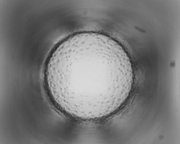 X0000116370632201001131748