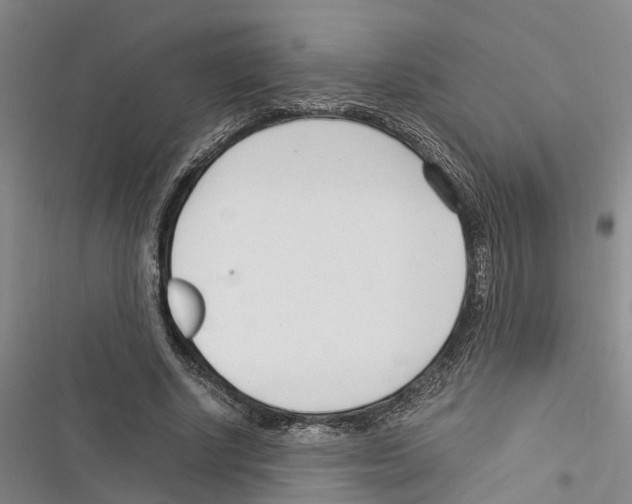 X0000116370634201001131748