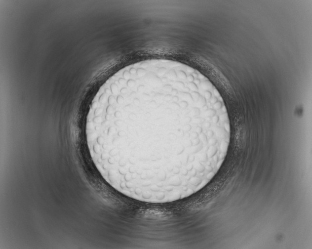 X0000116370635201001131748