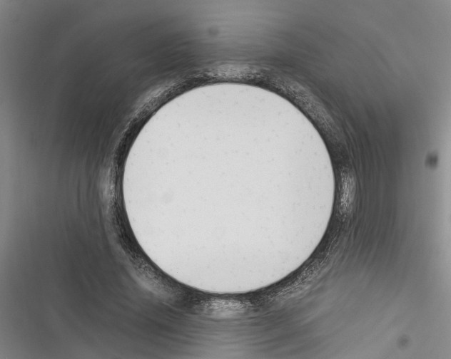 X0000116370636201001131748