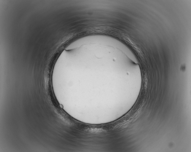 X0000116370637201001131748