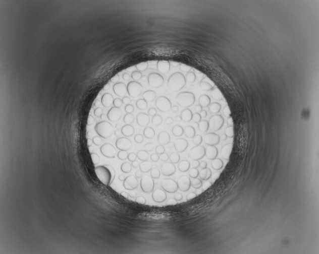 X0000116370639201001131748