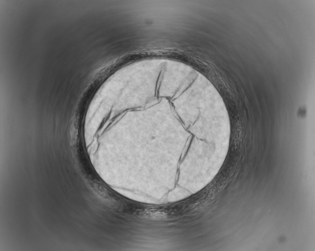 X0000116370640201001131748