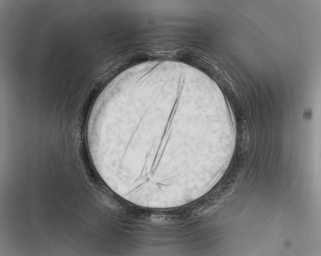 X0000116370641201001131748