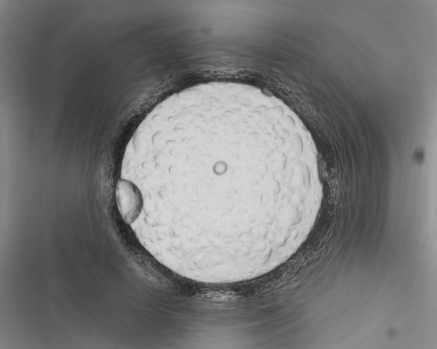 X0000116370642201001131748