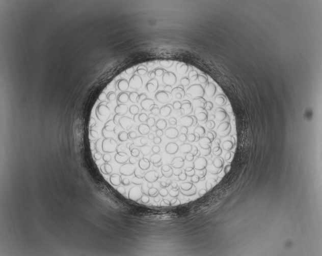 X0000116370646201001131748