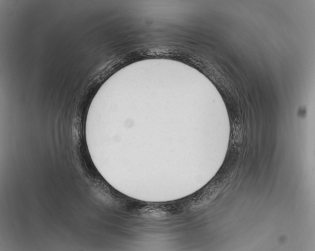 X0000116370648201001131748