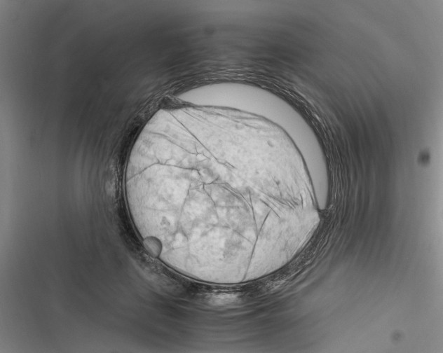 X0000116370651201001131748