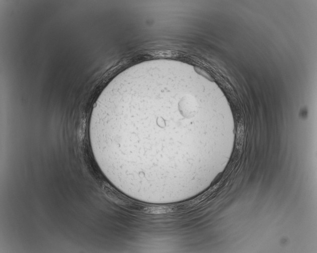 X0000116370652201001131748