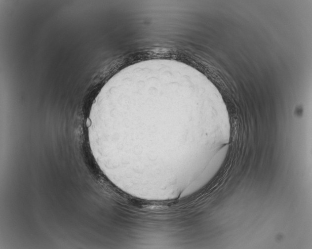 X0000116370654201001131748