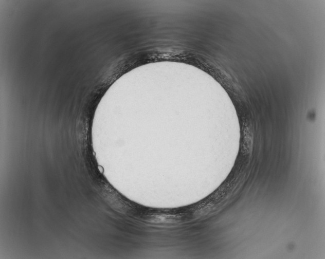 X0000116370657201001131748