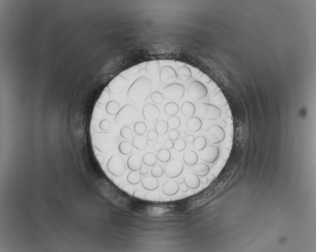 X0000116370662201001131748