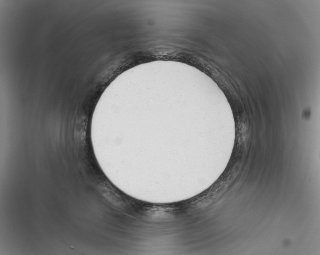 X0000116370664201001131748