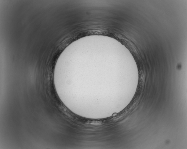 X0000116370665201001131748