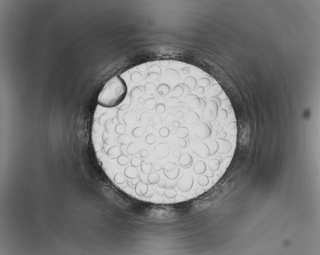 X0000116370666201001131749