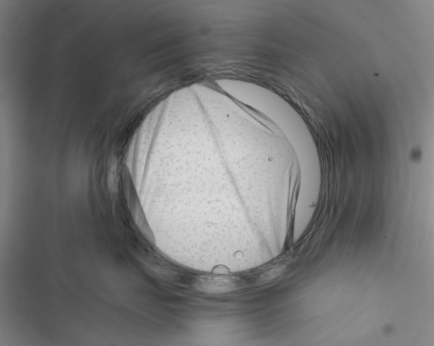 X0000116370671201001131749