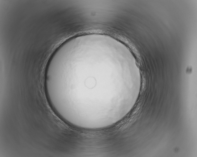 X0000116370673201001131748