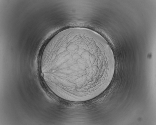 X0000116370674201001131748