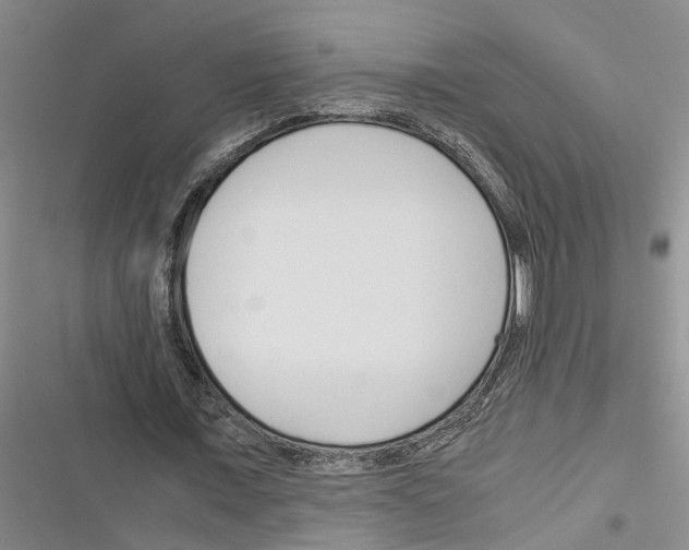 X0000116370675201001131748