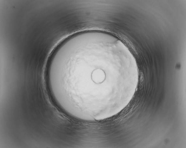 X0000116370676201001131748